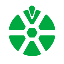 TV OYUNLARI